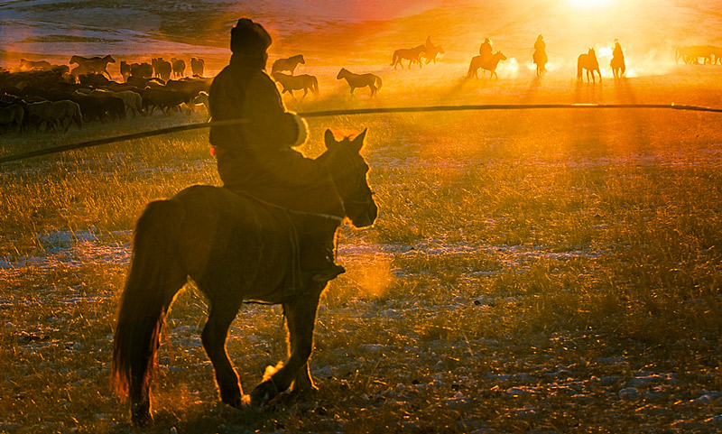 mongolia horse riding photos 